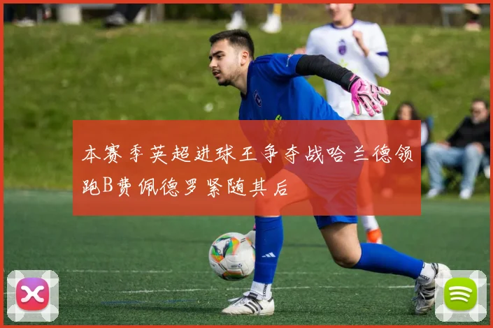 本赛季英超进球王争夺战哈兰德领跑B费佩德罗紧随其后