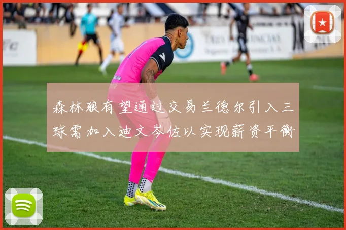 森林狼有望通过交易兰德尔引入三球需加入迪文岑佐以实现薪资平衡