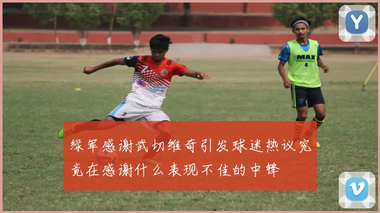 绿军感谢武切维奇引发球迷热议究竟在感谢什么表现不佳的中锋