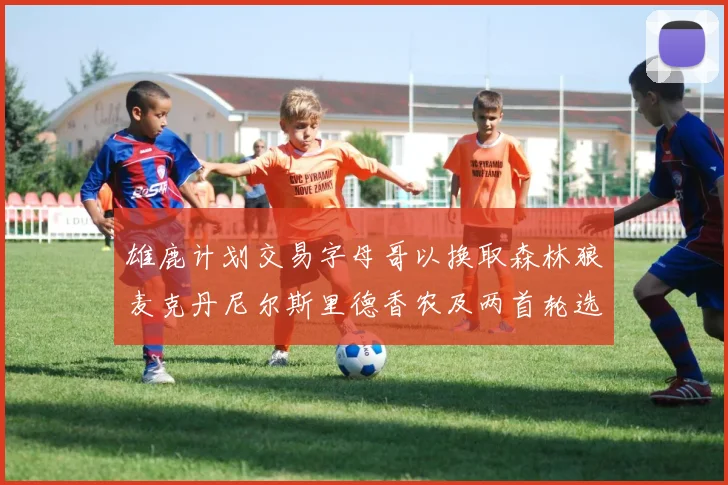 雄鹿计划交易字母哥以换取森林狼麦克丹尼尔斯里德香农及两首轮选秀权